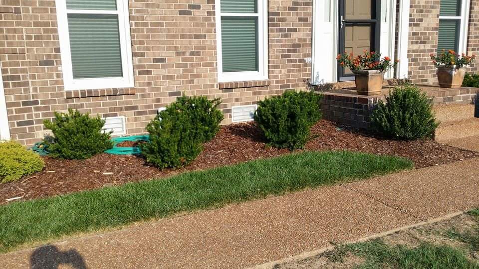 466475220 10229964236708819 3534897673198503334 N