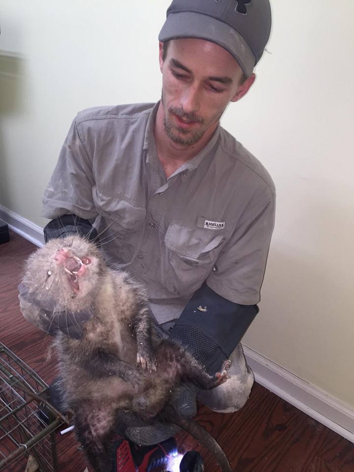 465725670 10229935676794839 4207545045481168488 n 465725670 10229935676794839 4207545045481168488 n