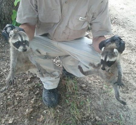 555545514 10233885207330634 1820972605045487728 n