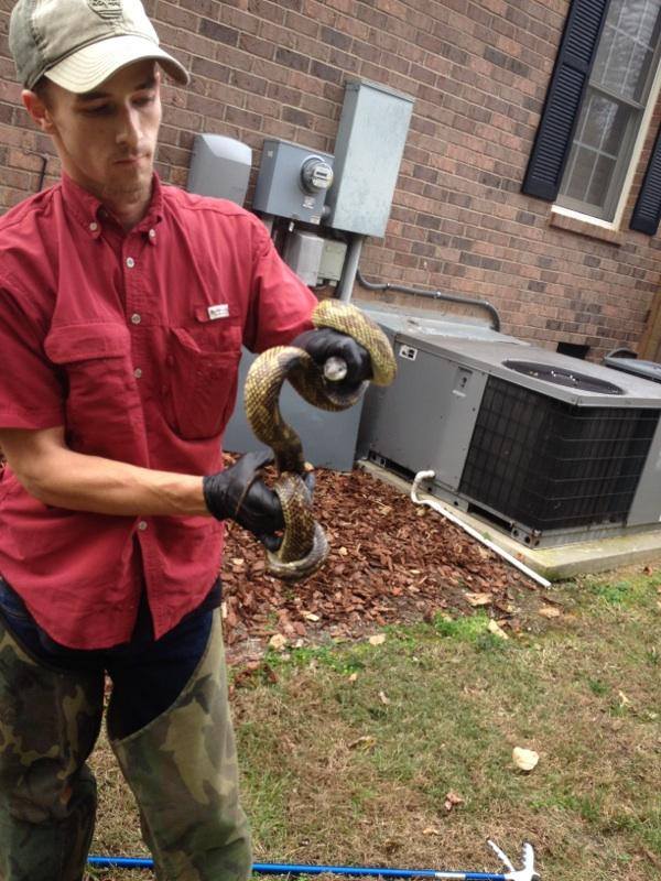 555647989 10233881630601218 2278802445897782667 n 555647989 10233881630601218 2278802445897782667 n